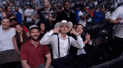 Sport Mma GIF by UFC