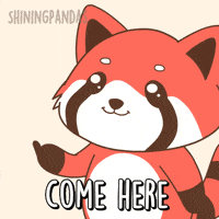 Come Red Panda GIF