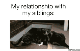 Happy Siblings Day GIF