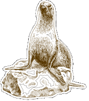 Sealion Plnu Sticker by Point Loma Nazarene University