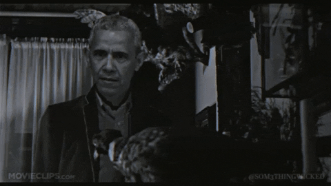 somethingwicked obamagate som3thingwicked GIF
