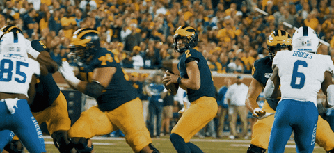 Go Blue College Football GIF by Michigan Athletics