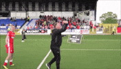 Celebration Boss GIF by Cliftonville Football Club