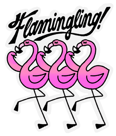 evite giphyupload animals drinks flamingo Sticker