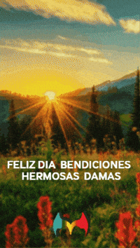 Por La Vida Sol GIF by Murcianys LLC
