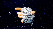 dont let me sleep shana cleveland GIF by Hardly Art