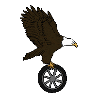 Jazz-Mz car carro eagle globo Sticker