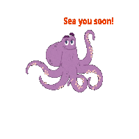 Bob Octopus Sticker by Salty Seafood Company