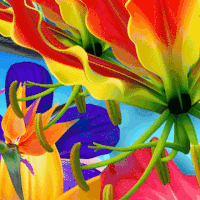 camila cabello GIF by NOW That's Music