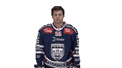 Celebration Goal Sticker by Fehervar AV19