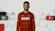 happy fc koln GIF by Bundesliga