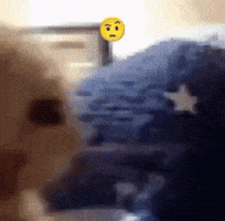 Car Raised Eyebrow GIF