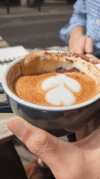 GIF by Stella 52