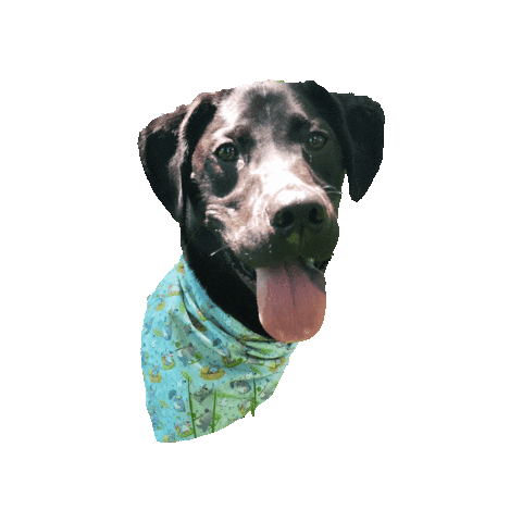 Black Dog Sticker by Geekster Pets