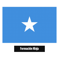 Flag Pixel Art Sticker by Formación Ninja