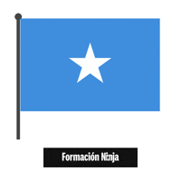 Flag Bandera Sticker by Formación Ninja