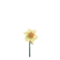 Summer Love Sticker