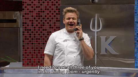 gordon ramsay fox GIF by Hell's Kitchen