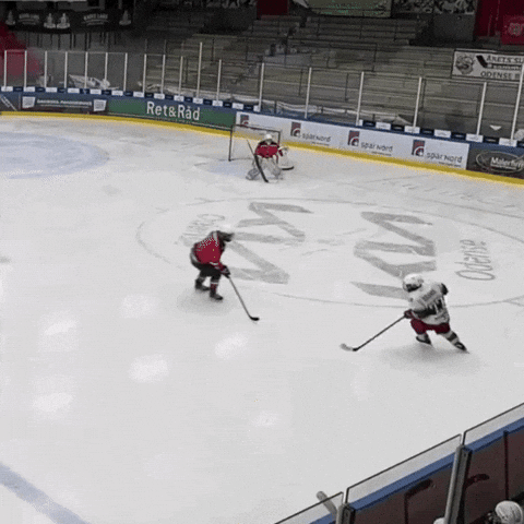 folketspuckhockeyklubb hockey tortugas hockey hit fphk tortugas GIF
