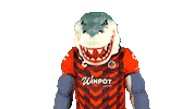 liga mx futbol Sticker by Tiburones Rojos