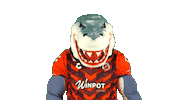 liga mx futbol Sticker by Tiburones Rojos