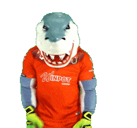 Liga Mx Futbol Sticker by Tiburones Rojos