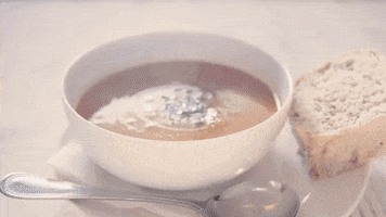 Fish Soup GIF by Fish for Thought
