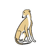 Dog Love Sticker
