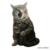 Sherlock Holmes Cat GIF