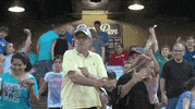 minor league baseball dancing GIF by Kane County Cougars