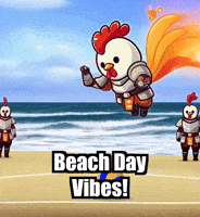Summer Beach GIF by Zorooster