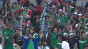 goal grito GIF by MiSelecciónMX