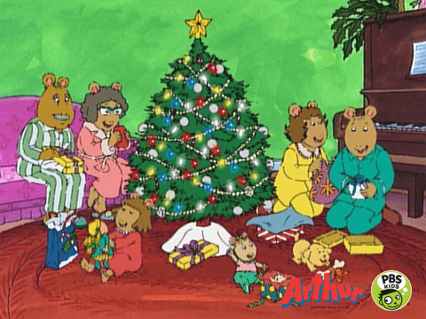 Merry Christmas GIF by PBS KIDS