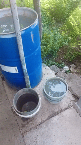 mihaimihaibf00  GIF