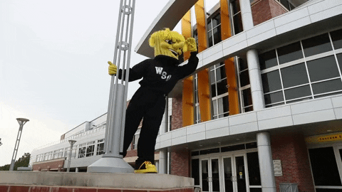 Wu_Shock giphyupload wsu wu wushock GIF