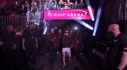 Sport Mma GIF by UFC