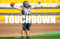 pantherswroclaw panthers wroclaw pantherswroclaw GIF