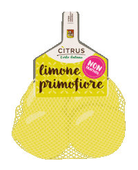 Shopping Shop Sticker by Citrus