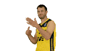 Ewe Baskets Basketball Sticker by EWE Baskets Oldenburg