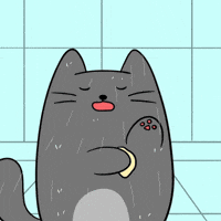 Water Unwinding GIF by MESA My Emotional Support Animal