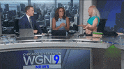 chicago lol GIF by WGN Morning News