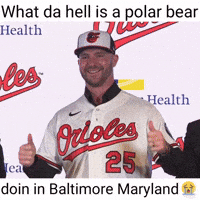 Polar Bear Baltimore GIF