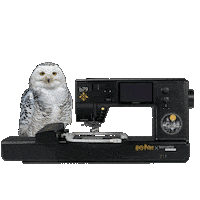 Sew Harry Potter Sticker by BERNINA International AG