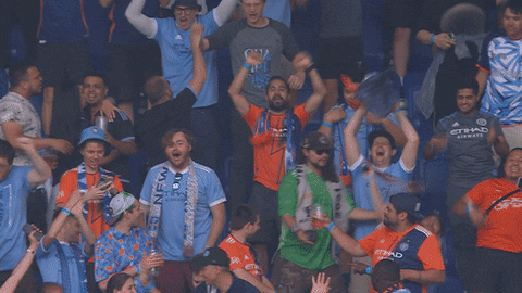 Happy New York GIF by NYCFC