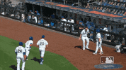 Happy Ny Mets GIF by New York Mets