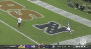Minnesota Vikings Football GIF by NFL