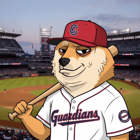 Shiba Inu Baseball GIF by Doge Pound