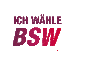 Wahlen Sticker by BSW Köln