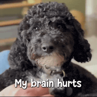 Tired What Happened GIF