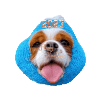 New Year Love Sticker